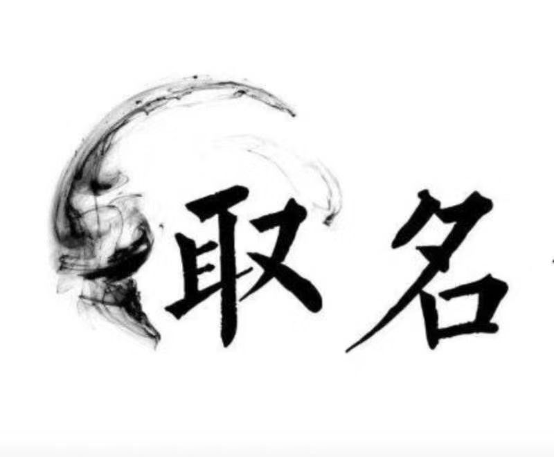  阆中宝宝取名 大师一对一人工起名